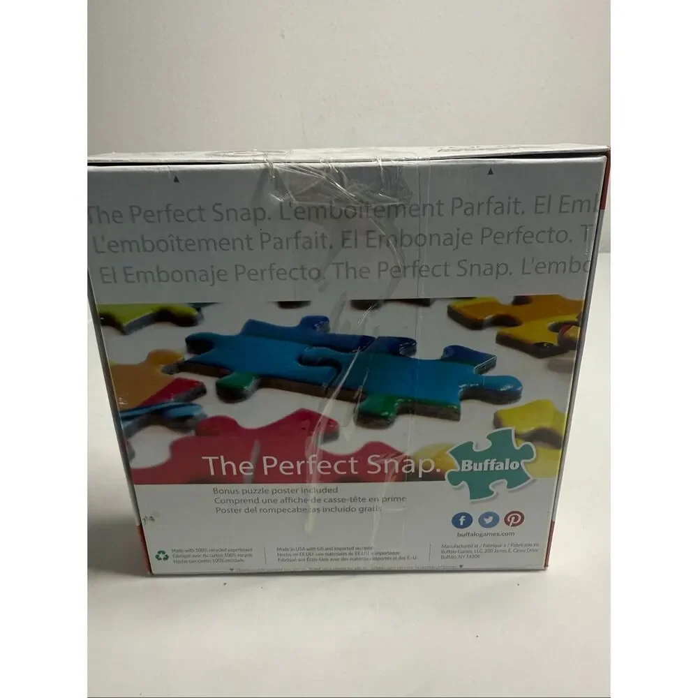 Rare Pokémon 300 Piece Jigsaw Puzzle Fun Family Buffalo Games See Description